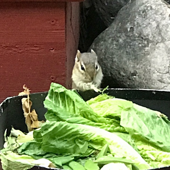 Meet Your Posher, Karri - Picture 13 of 17